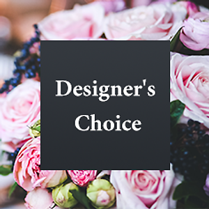 Designer&#039;s Choice