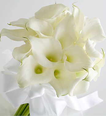 Miniature Calla Lily Bride&#039;s Bouquet