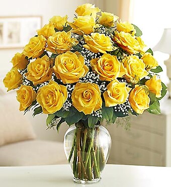 Ultimate Elegance Long Stem Yellow Roses