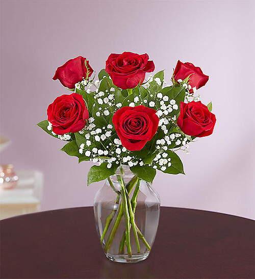 Love’s Embrace™ Red Roses